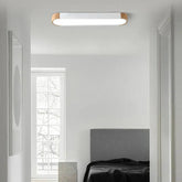 Elliptical Modern Hallway Flush Ceiling Lights - Clowas